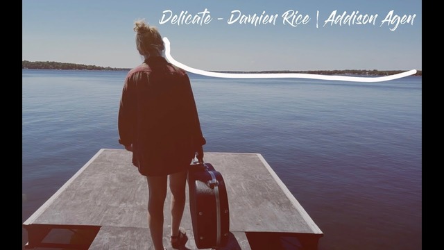Damien Rice – Delicate | Addison Agen | Cover