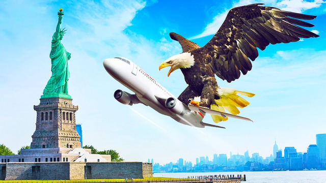 Что, если бы птицы стали размером с пассажирский самолет