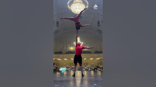 You need some serious strength and coordination to hang with these acrobats