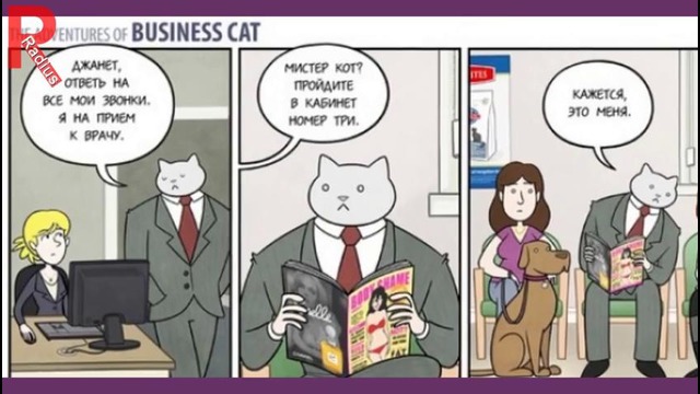 Если бы коты могли заниматься бизнесом