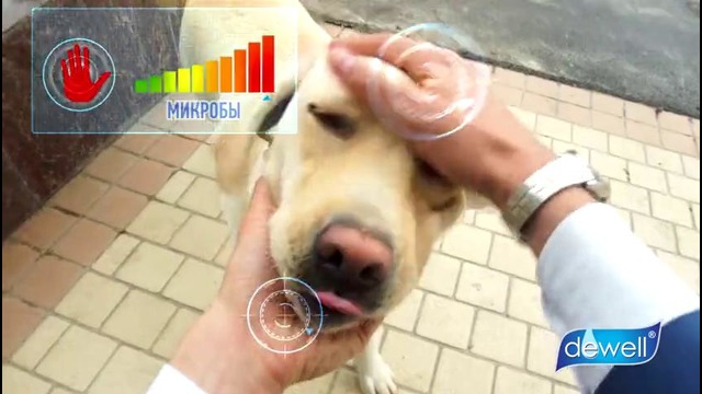«dewell» – Уничтожает микробы, Предотвращает опасность