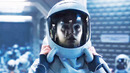 Ковчег (1 сезон) — Русский трейлер (2023)