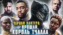 Грехо-Обзор «Чёрная Пантера»