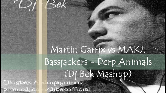 Martin Garrix, MAKJ, Bassjackers – Animals Derp (Dj Bek Mashup)