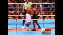 БОКС. Майк Тайсон – Леннукс Лювийс