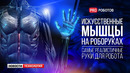 Новый гуманоидный робот Nadia // Самые реалистичные в мире руки робота // Новости технологий