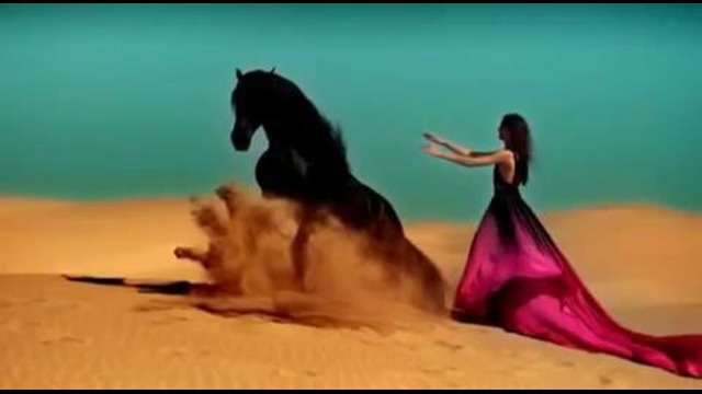 Красивый ролик с лошадью и девушкой