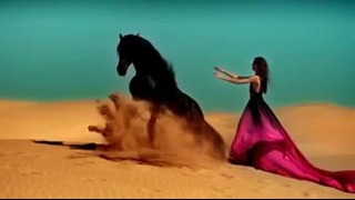 Красивый ролик с лошадью и девушкой