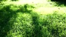 Светящиеся краски – Люминофор и флуоресцен, пигменты, люминоф, декоративные