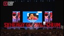 Synergy Global Forum 2016 Shefer Bodo rus part 2