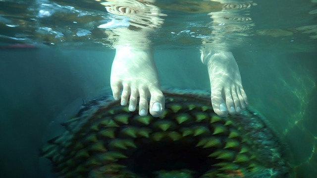 Если Вы Боитесь Океана, не Смотрите это Видео в Одиночку