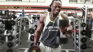 Ulisses jr training arms (highlights)