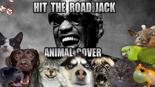 Ray Charles – Hit The Road Jack (Animal Cover)