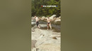 Rocky weekend for New Hampshire