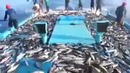 Очень скромная рыбалка