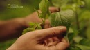 Марс 5 серия. Документальный фильм