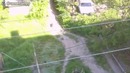 Как действует ультразвуковой отпугиватель собак