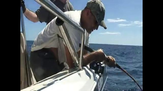 Jigging! Grosse bagarre! avec tres tres gros requin