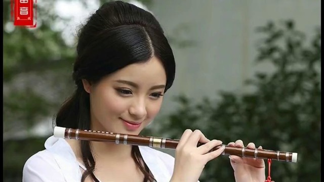 Beautiful Chinese music Instrument Endlesslove 10 different songs