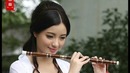 Beautiful Chinese music Instrument Endlesslove 10 different songs