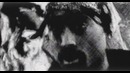 2Pac – Letter 2 My Unborn (2001)