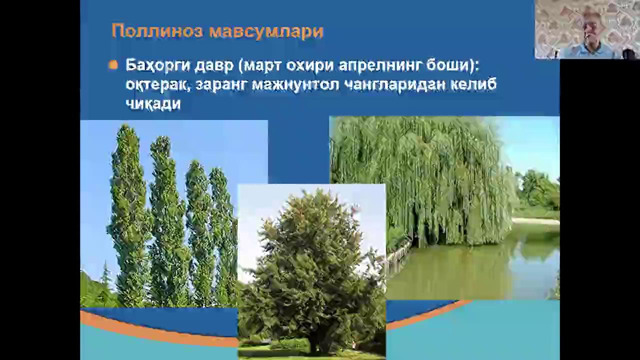Аллергология. Аллергик ринит