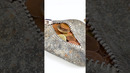 Rock Wallet #hirptoshi #rock #wallet #diy #hardwork #epic