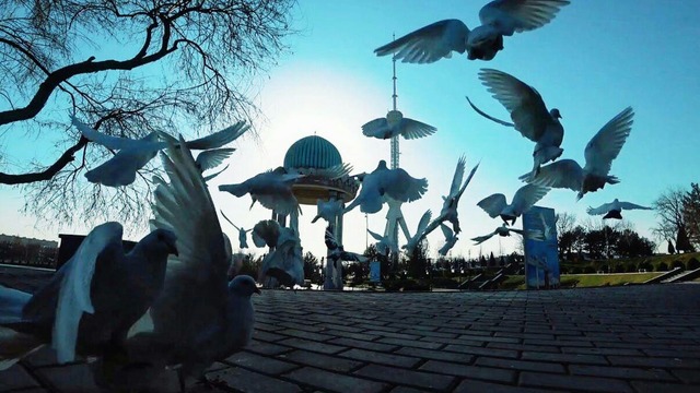 Ташкент. Парк напротив телевышки