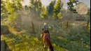 Прохождение Ведьмак 3: Дикая Охота – Часть 4: Игоша