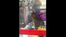 Необычная игрушка в автомате