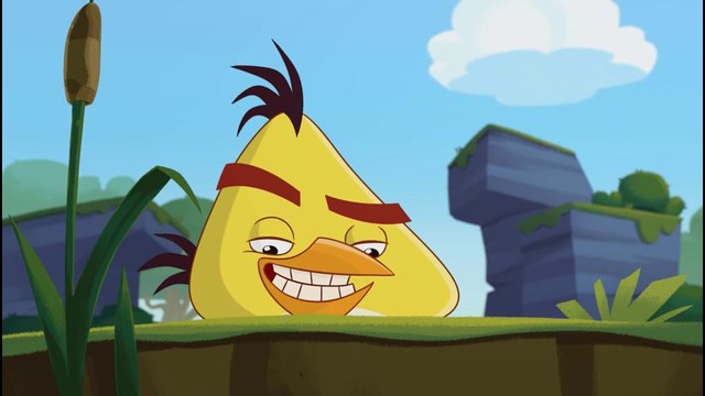 Angry Birds Toons 3 сезон 24 серия «Photochucked»