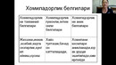 3-кун Имплантация ҳомила