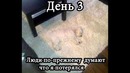 Невероятные оптические илюзии