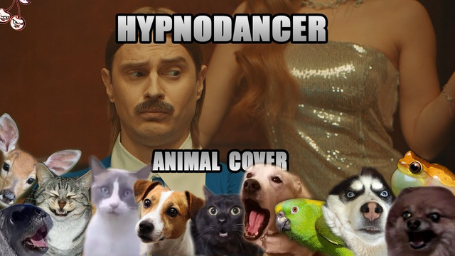 LITTLE BIG – Hypnodancer (Animal Cover)