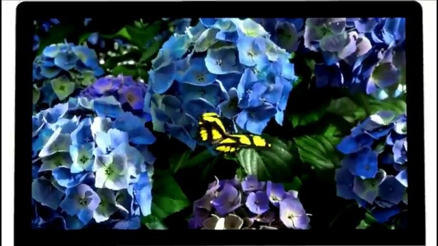 IMac Retina The World’s Highest Resolution Display