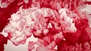 Avicii ft. Wyclef Jean – Divine Sorrow (Lyric Video)