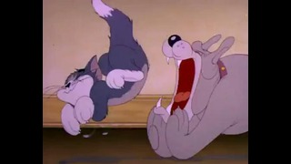 Tom and Jerry – 5 Серия (1-Сезон)