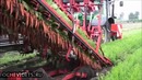 Глаз радуется