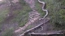 Вот это самая большая змея