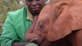 World’s Cutest Baby Animals | Part 2 | BBC Earth