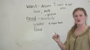 English Vocabulary – The difference between ‘want’ & ‘need