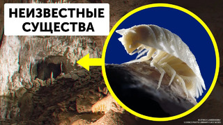 Ученые обнаружили пещеру возрастом 5 млн лет, и у них замерло сердце