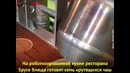 Первый в мире роботизированный ресторан