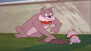 Том и Джерри 4-сезон 15 из 22 (США 1940-2005)