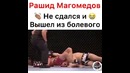 Рашид Магомедов не сдался и вышел из болевого