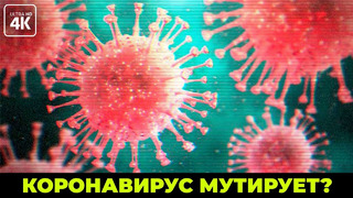 Коронавирус – Чума 21 века