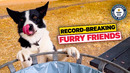 Meet Dog Whisperer Olga Jones | Guinness World Records