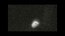 Мраморные Шершни(Запись №23)