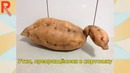 Эти овощи и фрукты похожи на что то другое