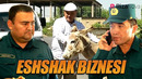 Qalpoq – Eshshak biznesi